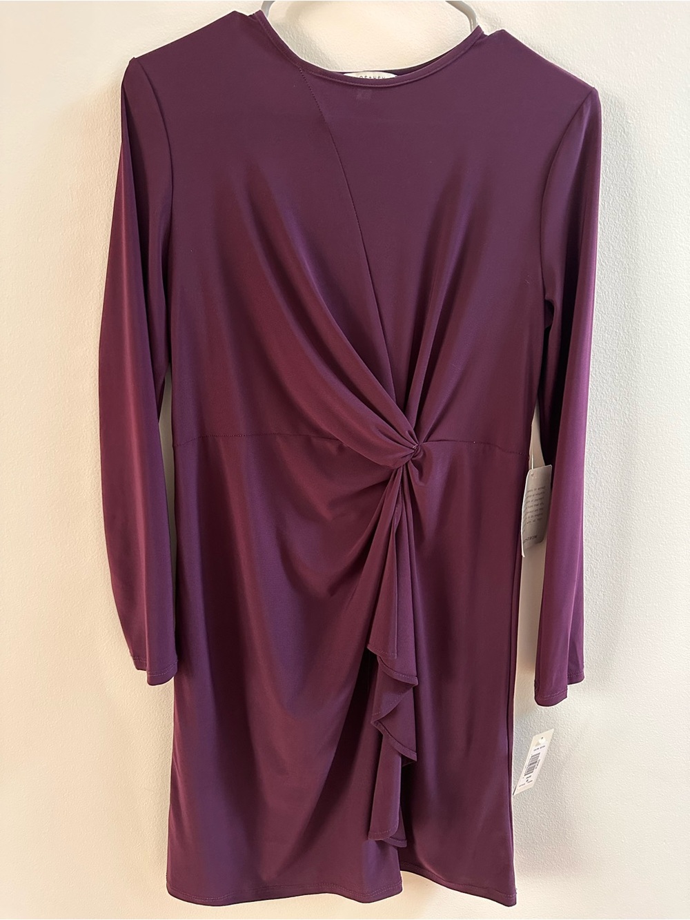 Twist-Front Long Sleeve Dress in Plum/Eggplant